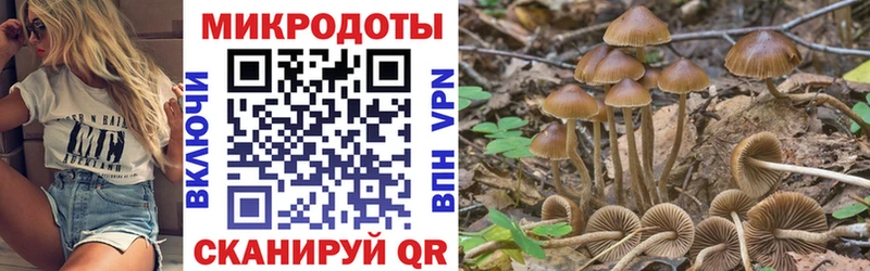 площадка состав  mega рабочий сайт  Галлюциногенные грибы ЛСД  Ясногорск  закладка 